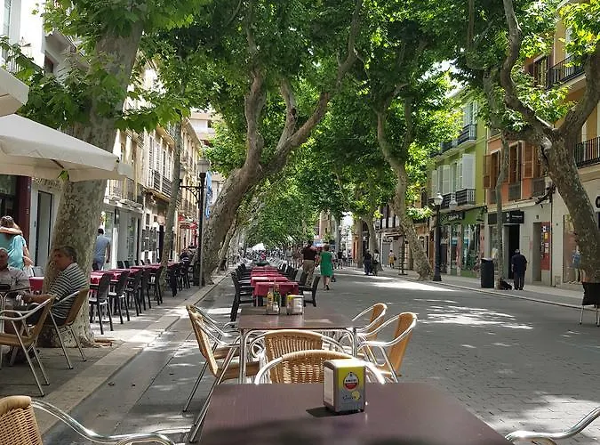 招待所 Marques De Campo